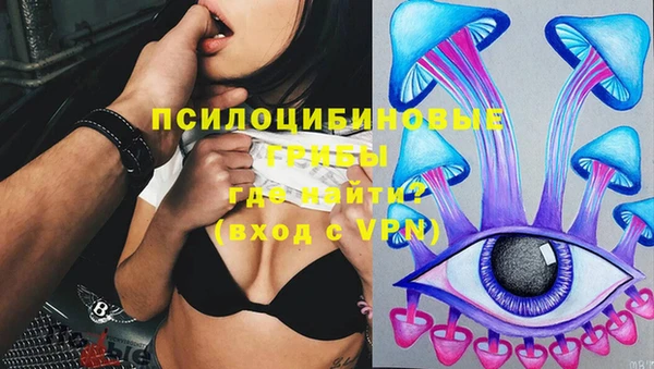 прущие крисы Аркадак