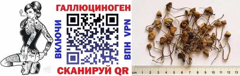 даркнет сайт Коломна Псилоцибиновые грибы прущие грибы